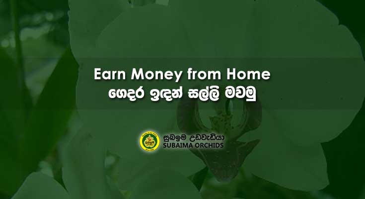 article-image-earn-money-from-home-cover-735x400
